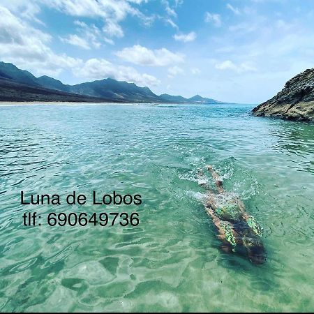 Luna De Lobos 科拉雷侯 外观 照片
