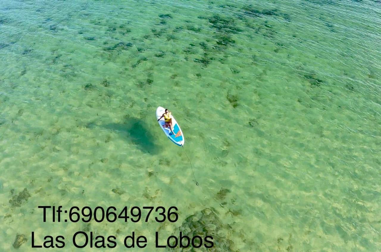 Luna De Lobos 科拉雷侯 外观 照片